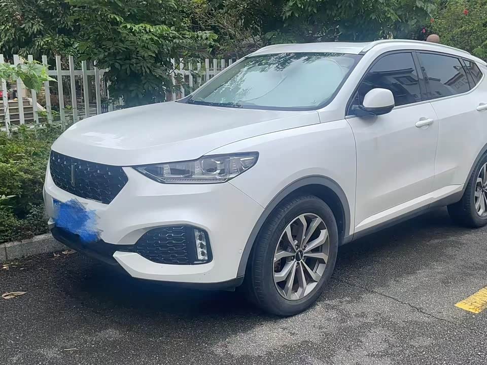 Weipai VV6
