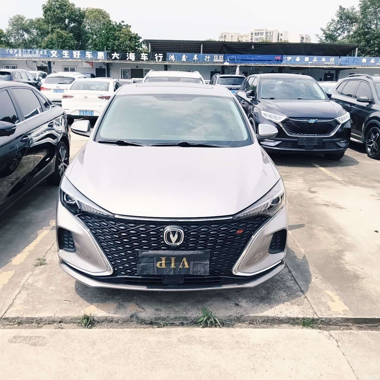 Changan Eado, 2020 2