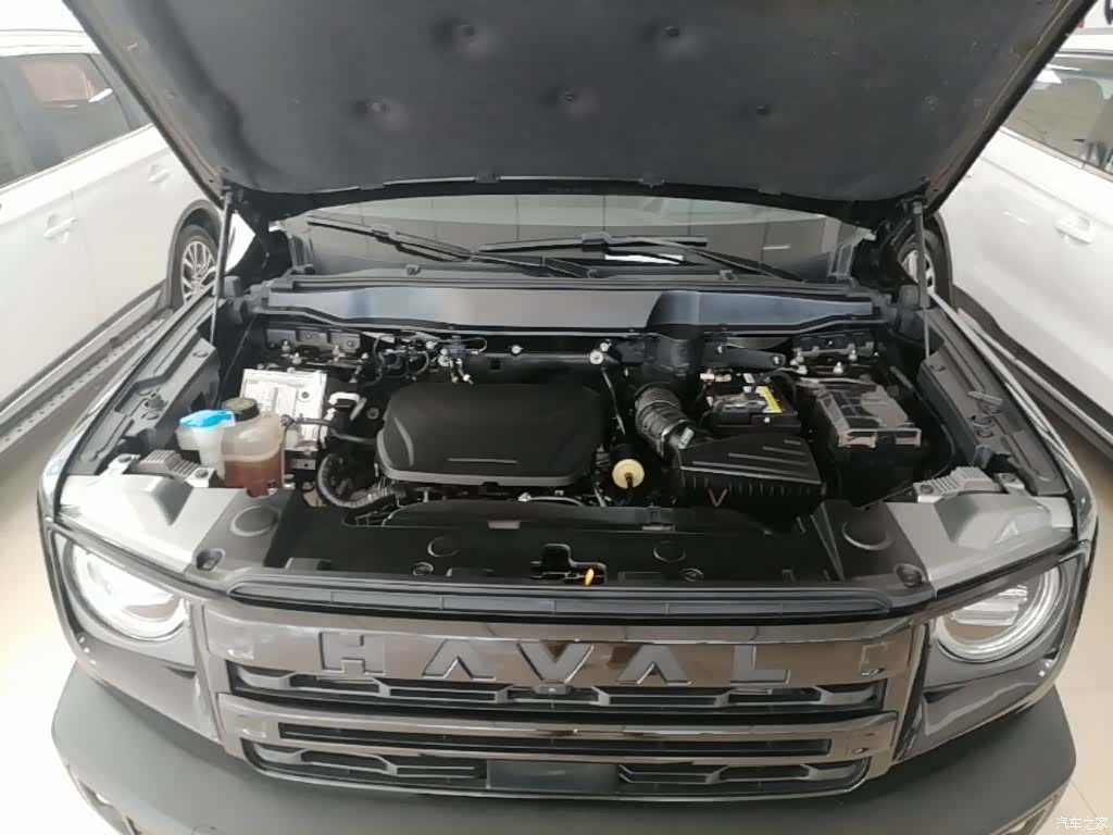 Haval Big Dog, 2024 20