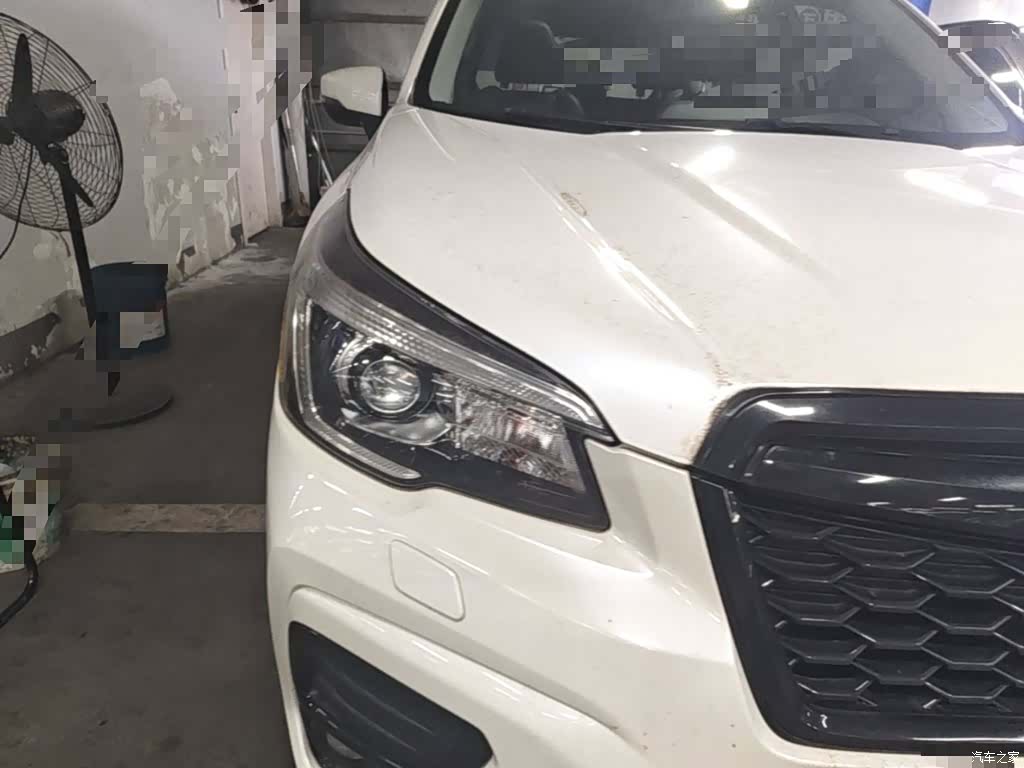 Subaru Forester, 2019 13