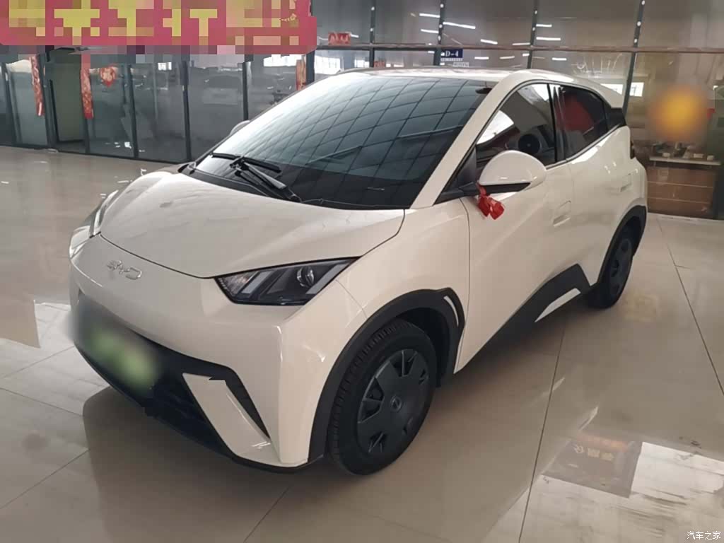 BYD Seagull, 2024 1