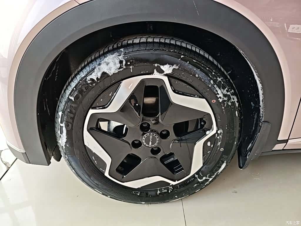 BYD Dolphin, 2022 23