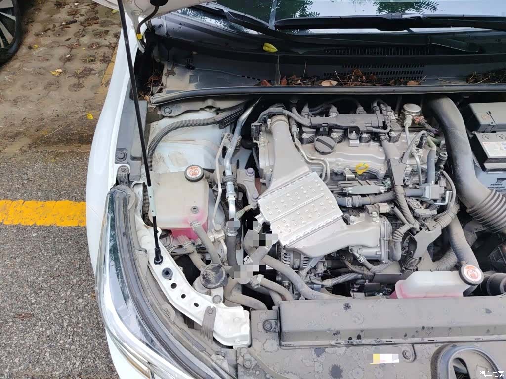 Toyota Levin, 2024 21