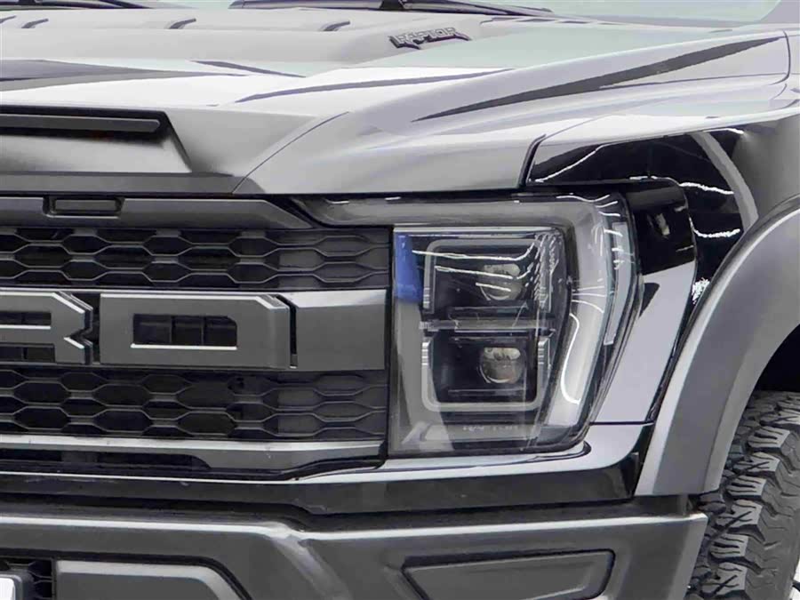 Ford F-150 Raptor 2024, фото 3