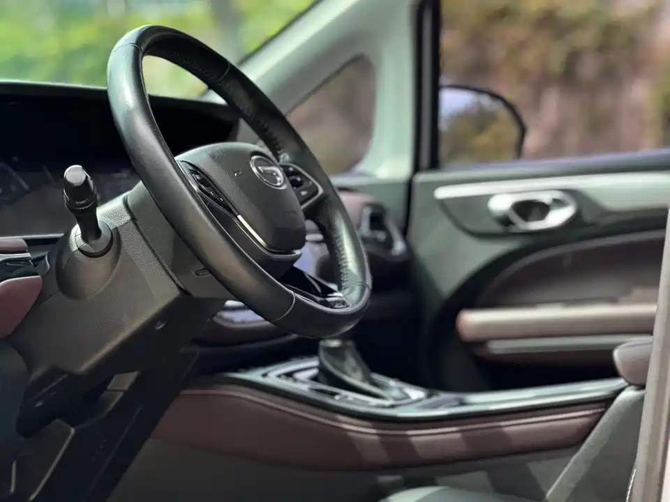 Trumpchi Trumpchi M6