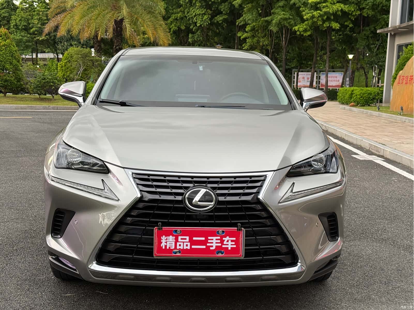 Lexus NX, 2018 2