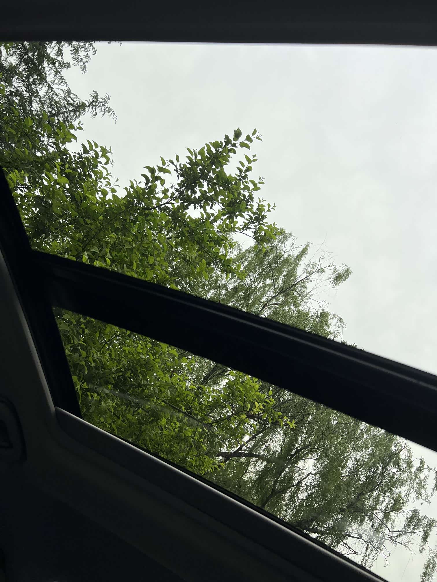Chevrolet XL, 2019 17