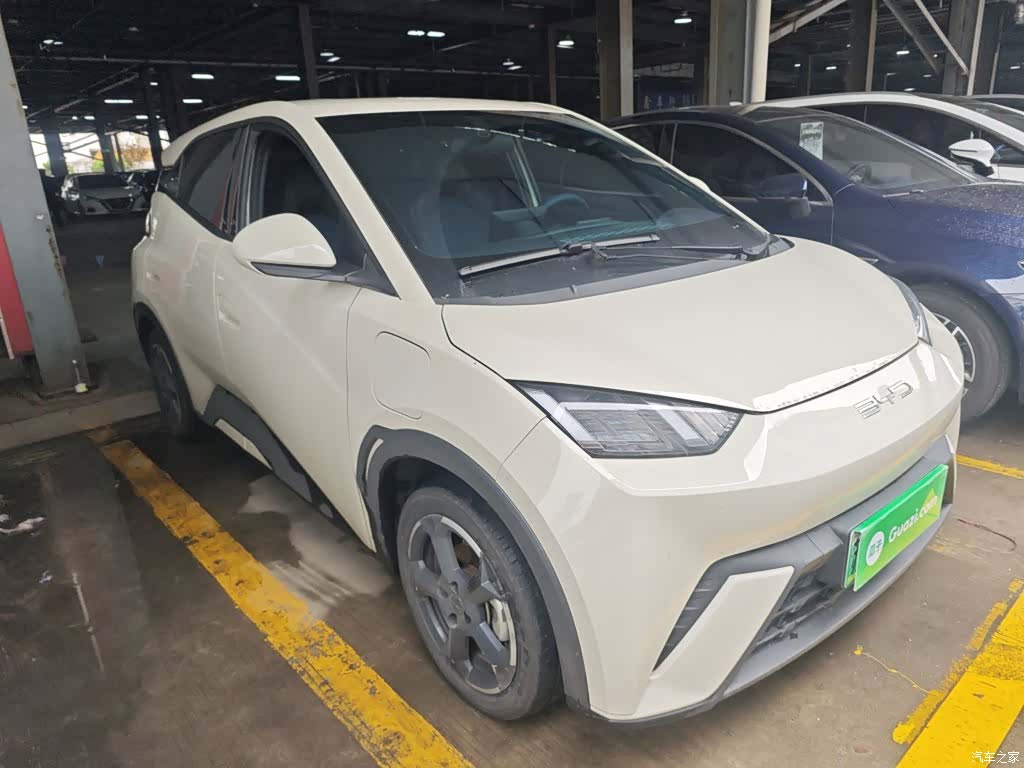 BYD Seagull, 2024 23