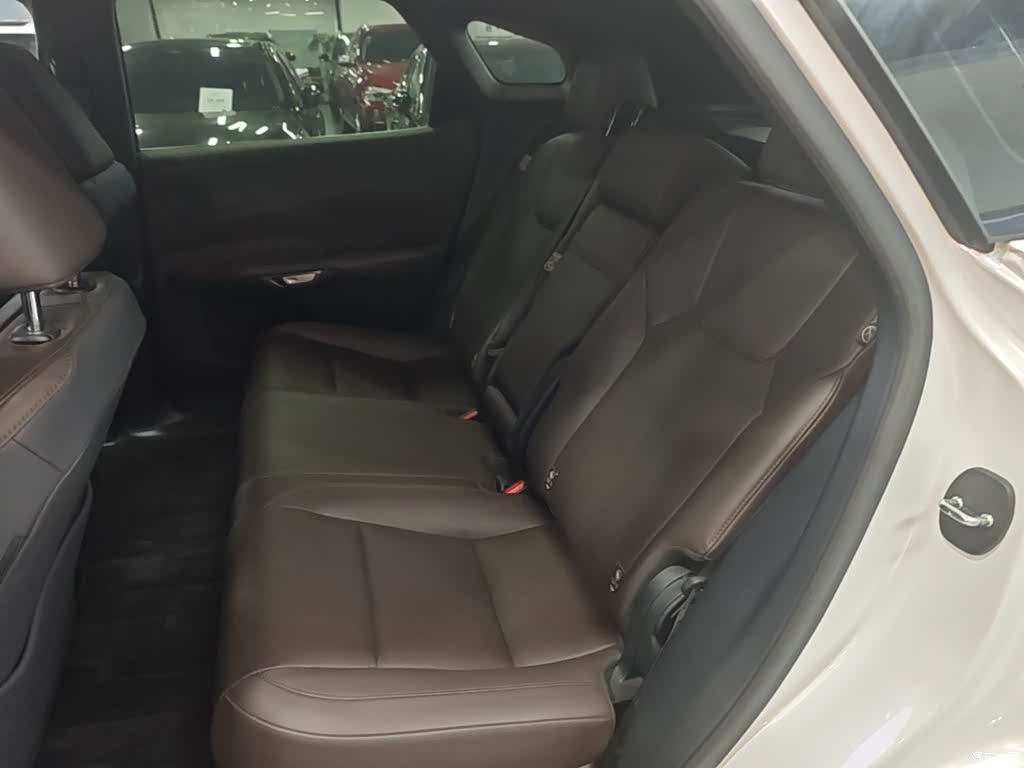 Lexus RX, 2024 13