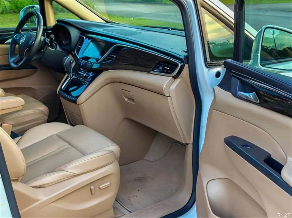 Buick GL8, 2019 8