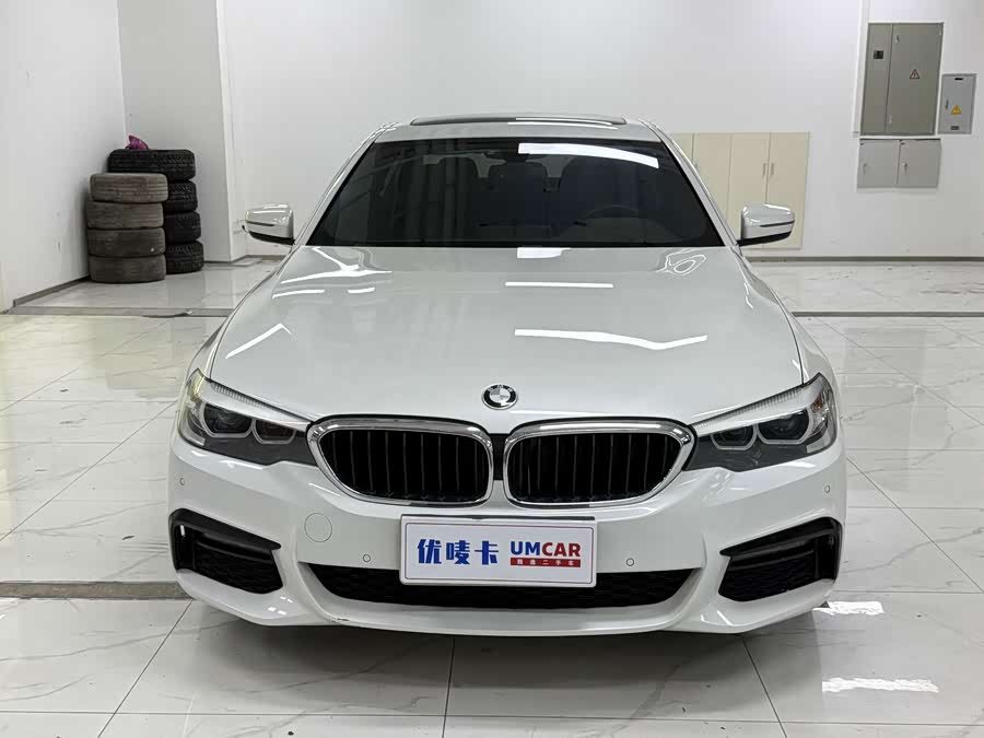 BMW 5 Series 2019, фото 2