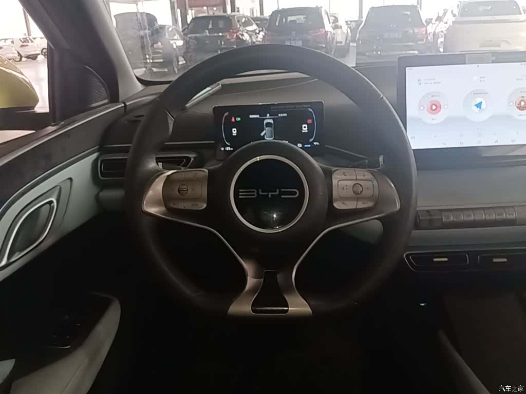 BYD Seagull, 2024 11
