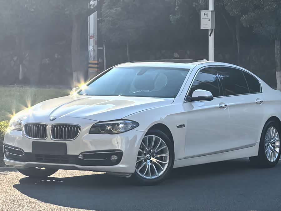 BMW 5 Series 2015, фото 1
