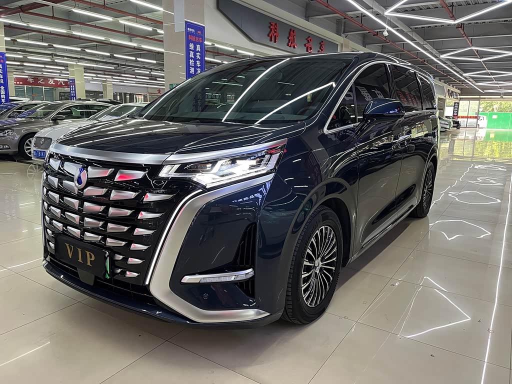 Denza D9