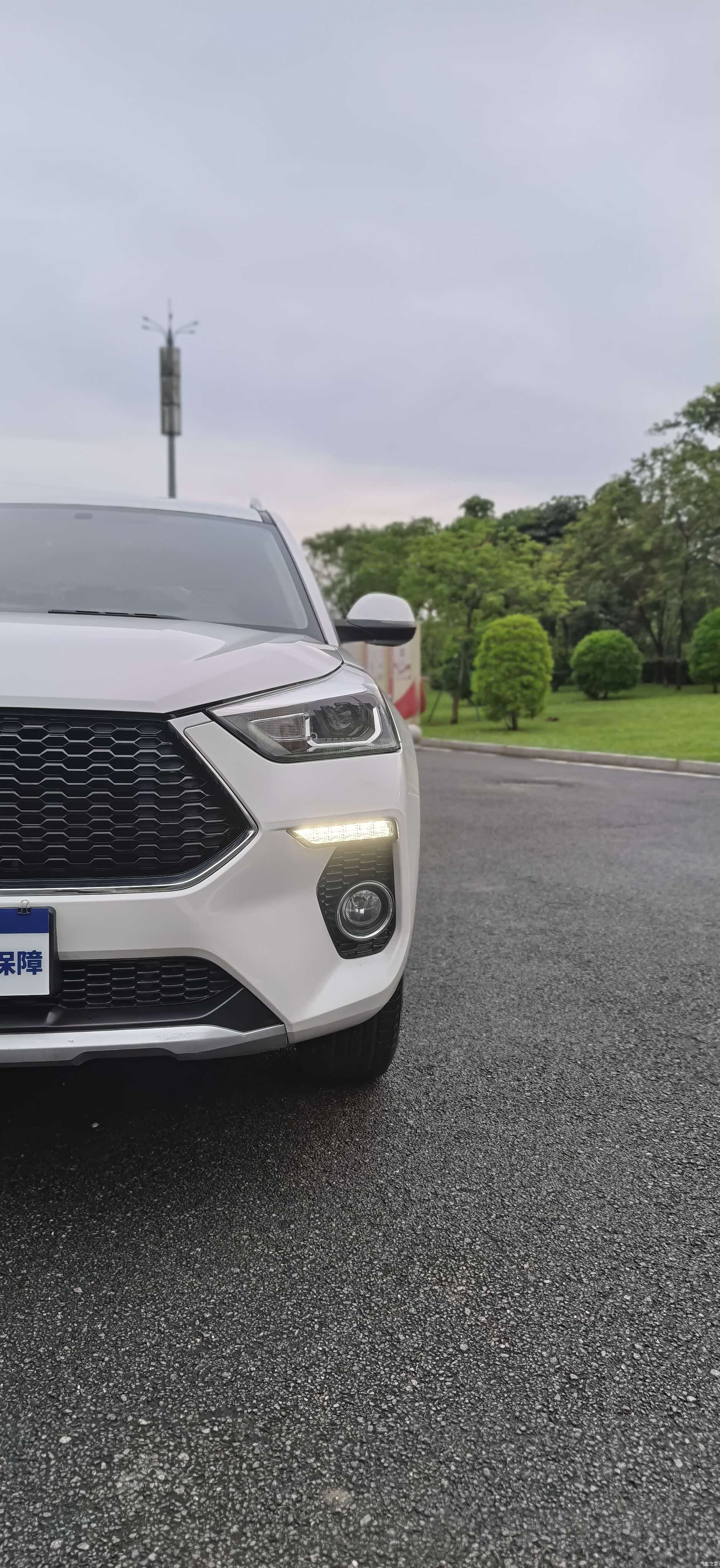 Haval H6, 2020 все фото