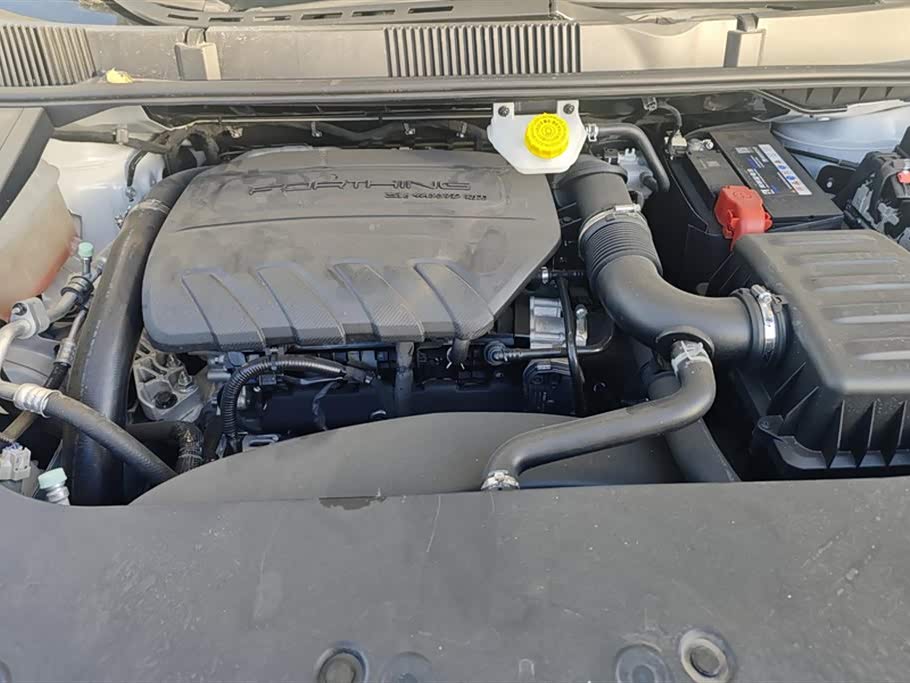 Forthing Popular yachts