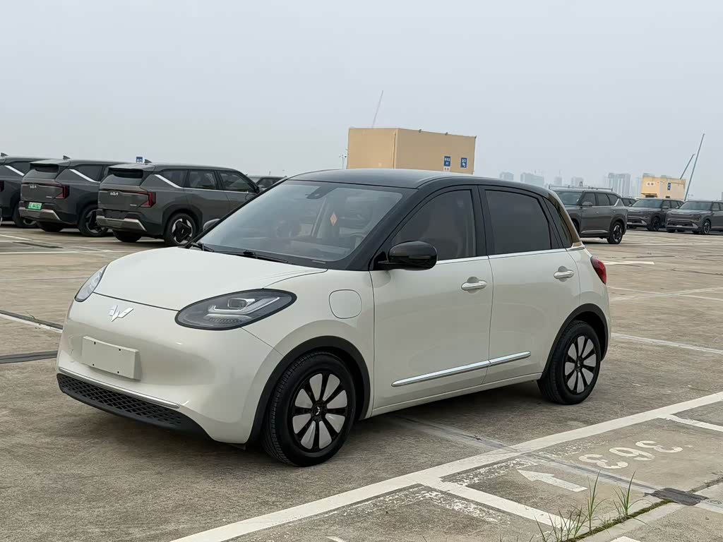 Wuling Binguo