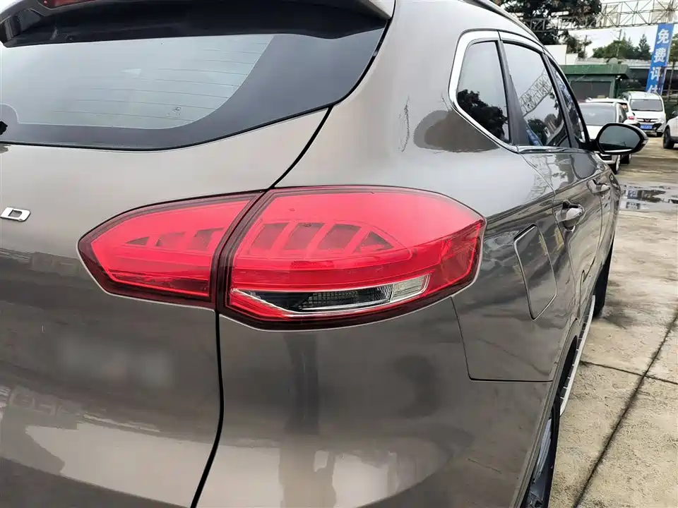 Leopaard Cheetah CS10