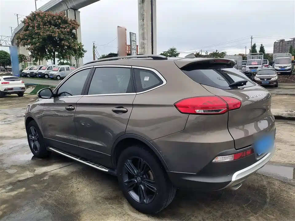 Leopaard Cheetah CS10