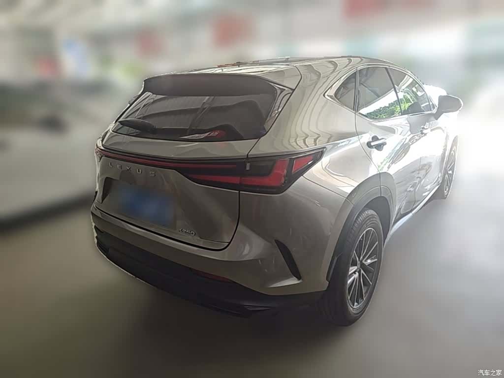 Lexus NX, 2022 12
