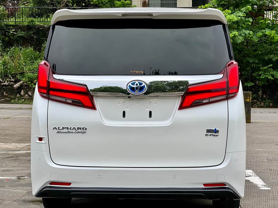 Toyota Elfa