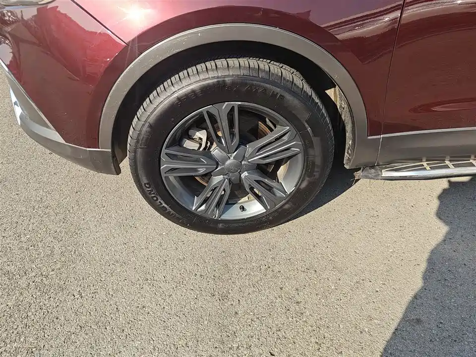 Leopaard Cheetah CS10