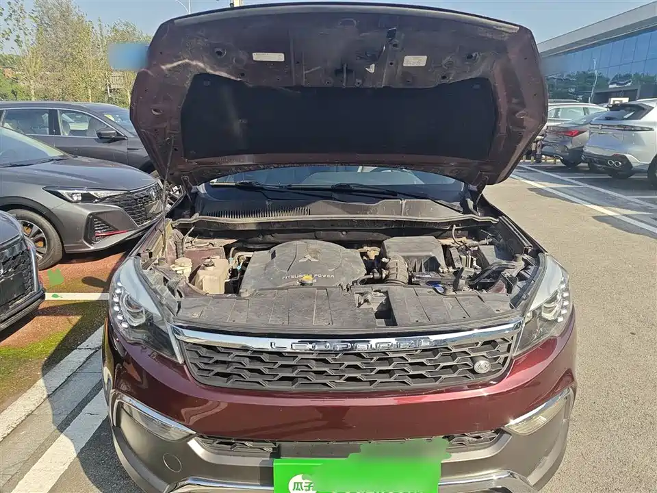 Leopaard Cheetah CS10