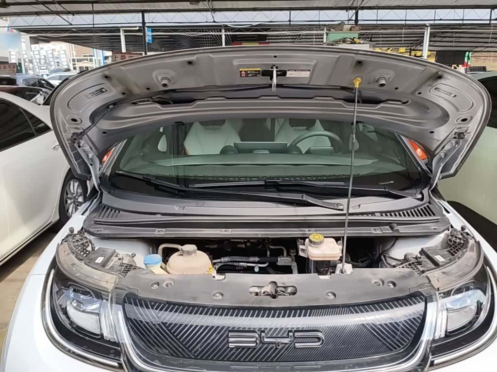 BYD Dolphin, 2021 20