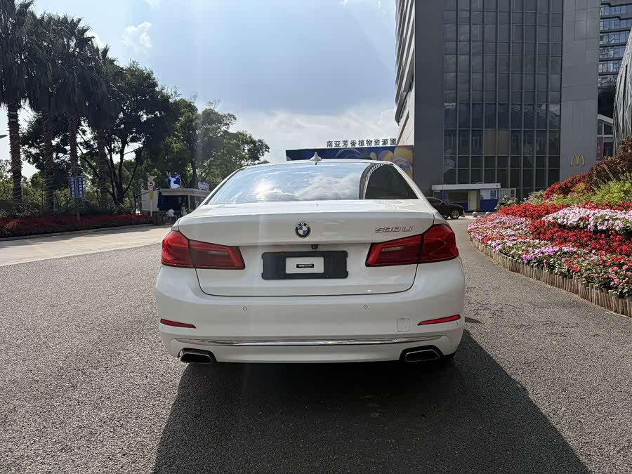 BMW 5 Series 2019, фото 11