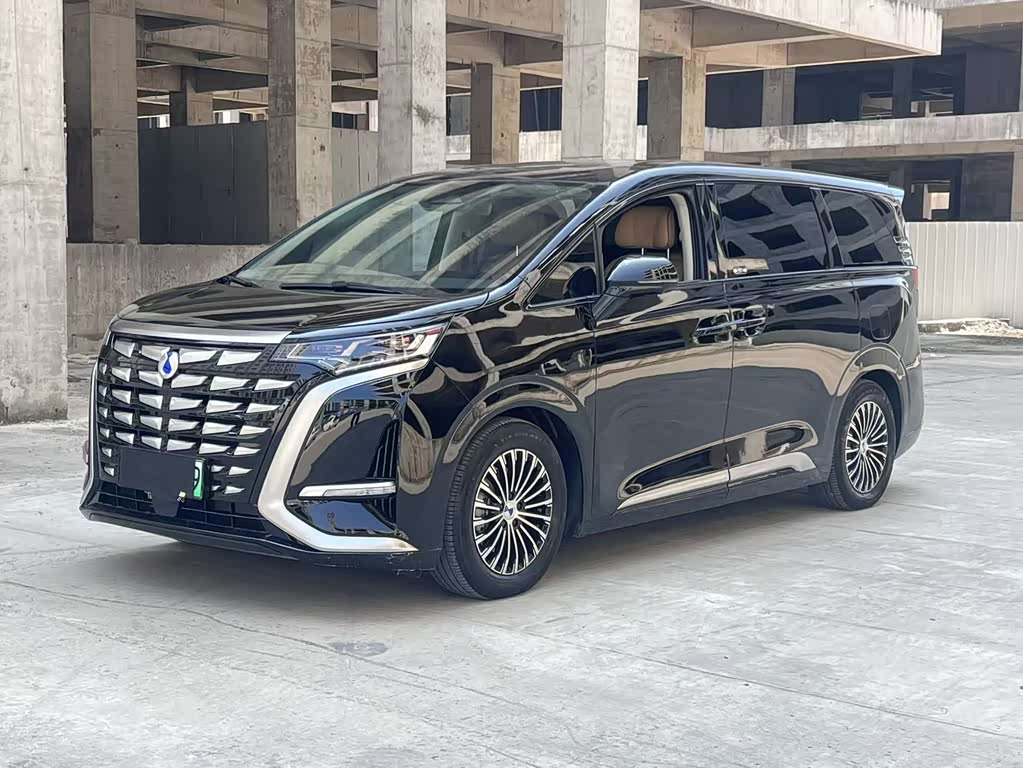 Denza D9