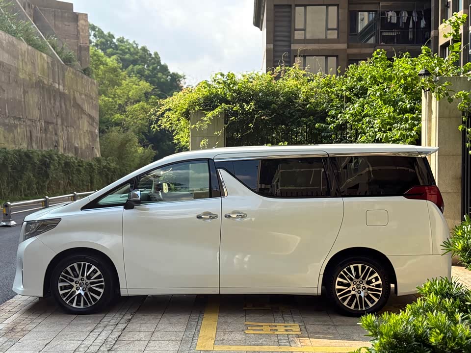 Toyota Elfa