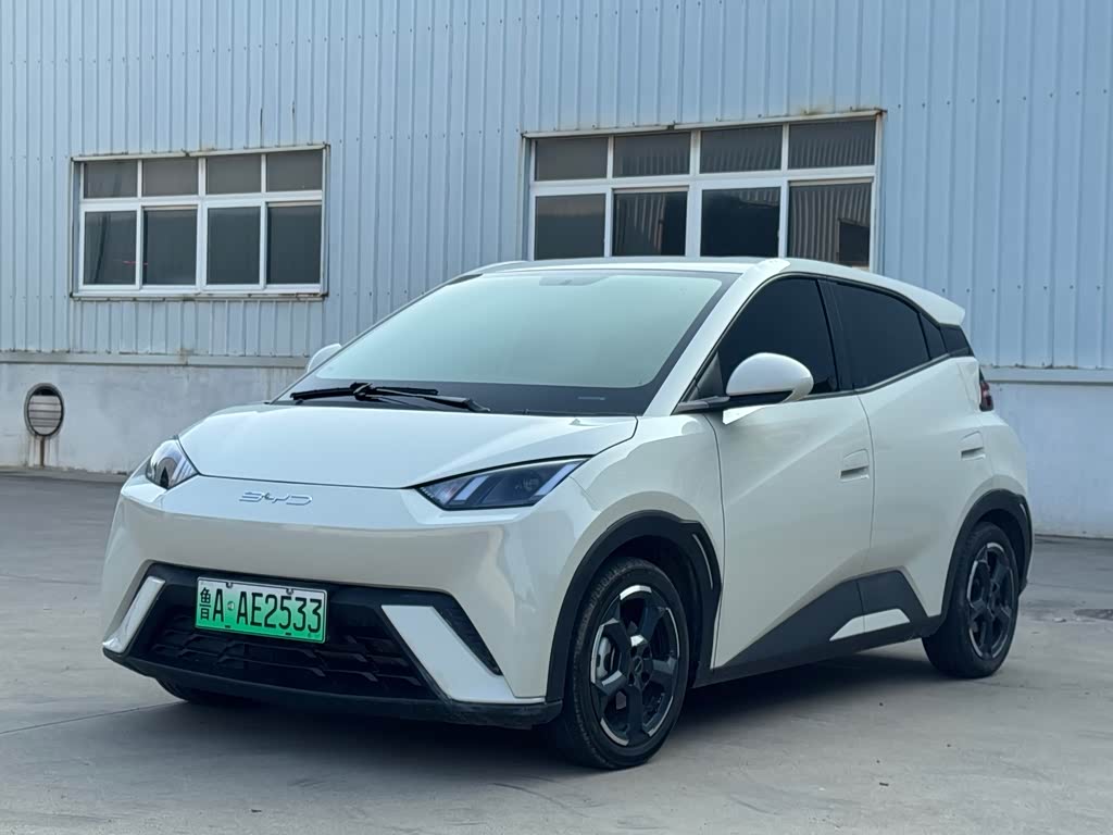 BYD Seagull