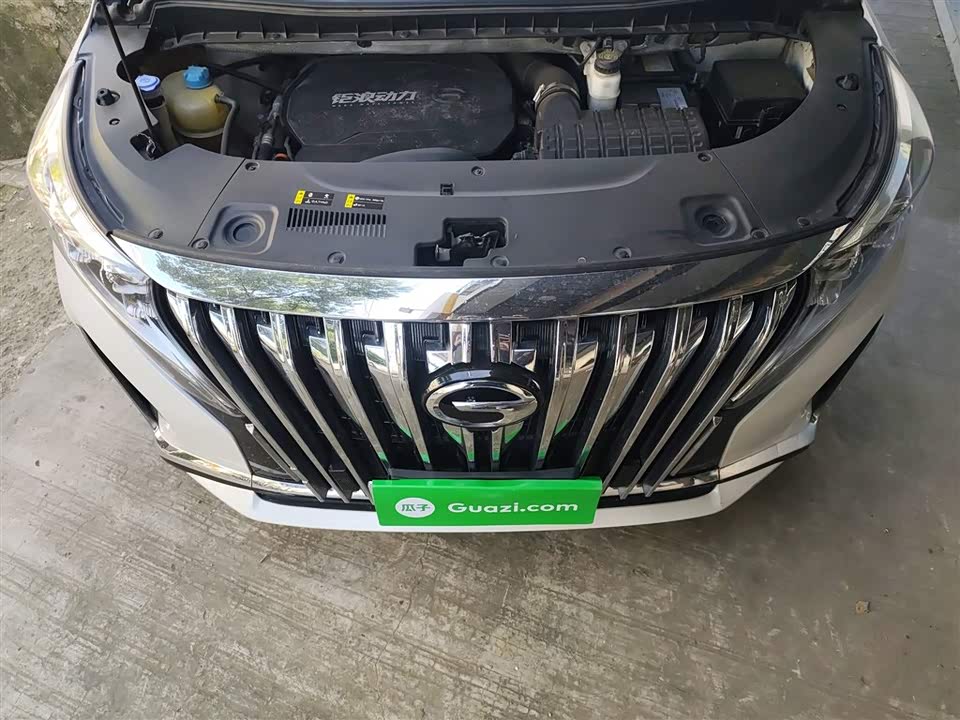 Trumpchi Trumpchi M8