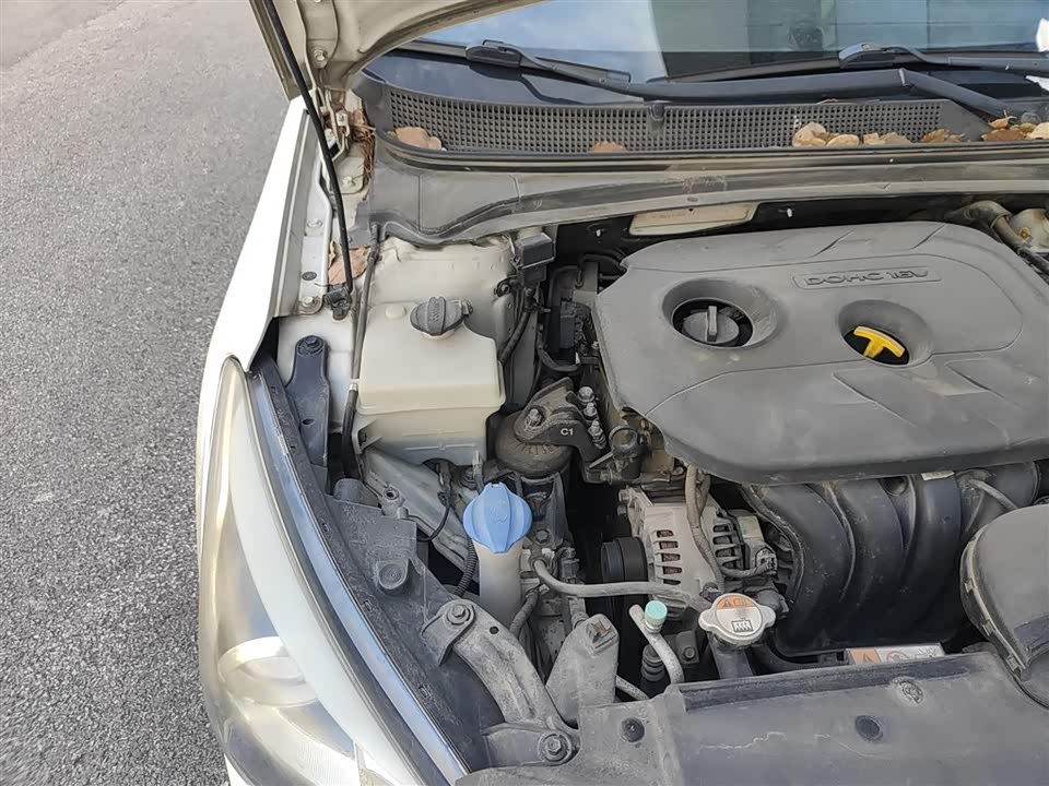 Hyundai Name picture