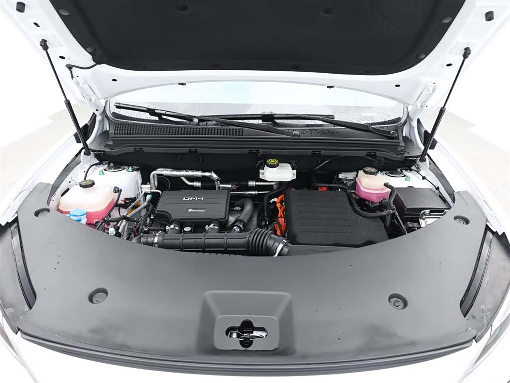 BYD Song, 2024 16
