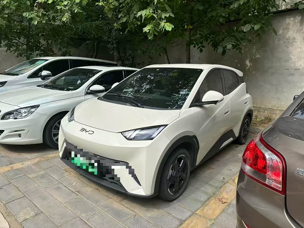 BYD Seagull