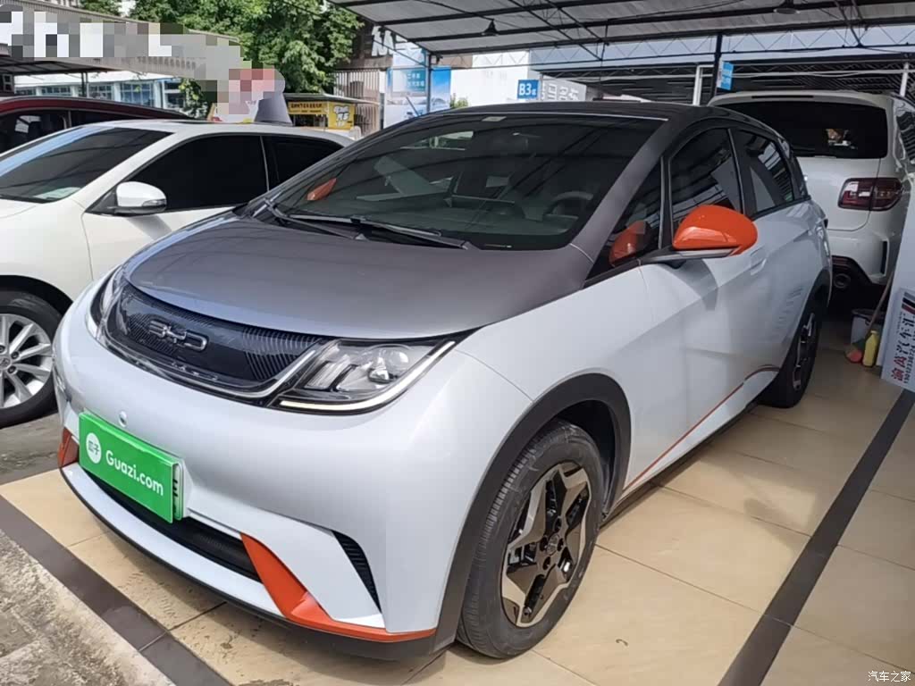 BYD Dolphin, 2021 1
