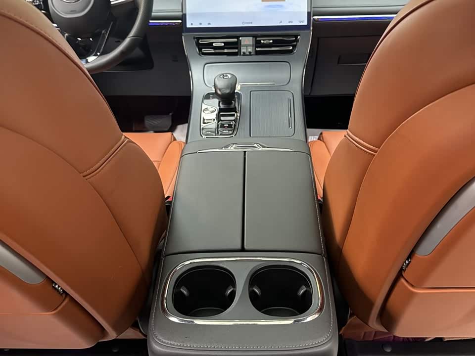 Trumpchi Trumpchi E9