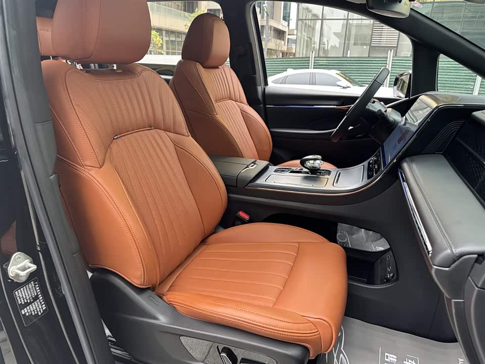 Trumpchi Trumpchi E9