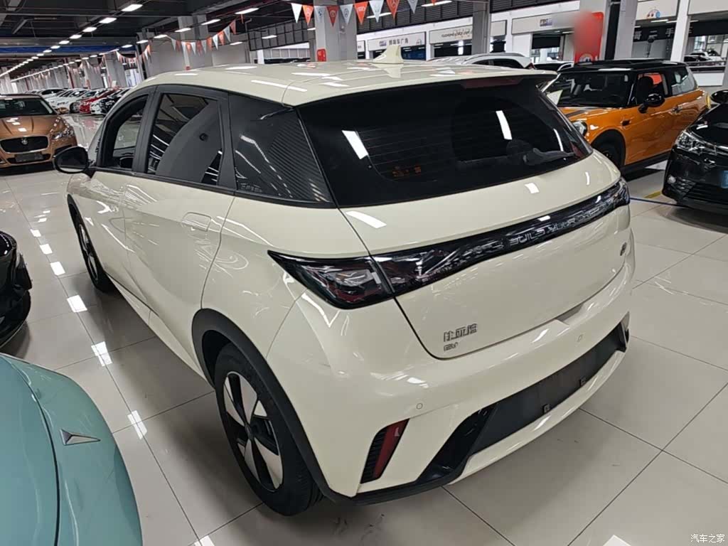 BYD Dolphin, 2023 все фото