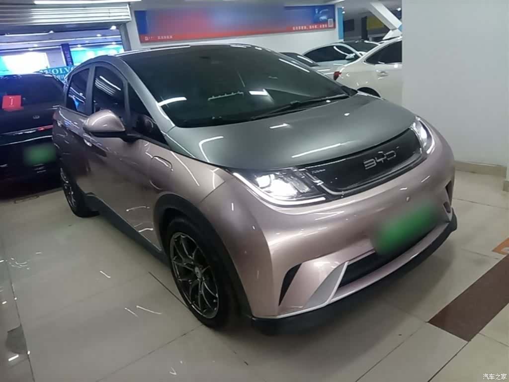BYD Dolphin, 2021 4