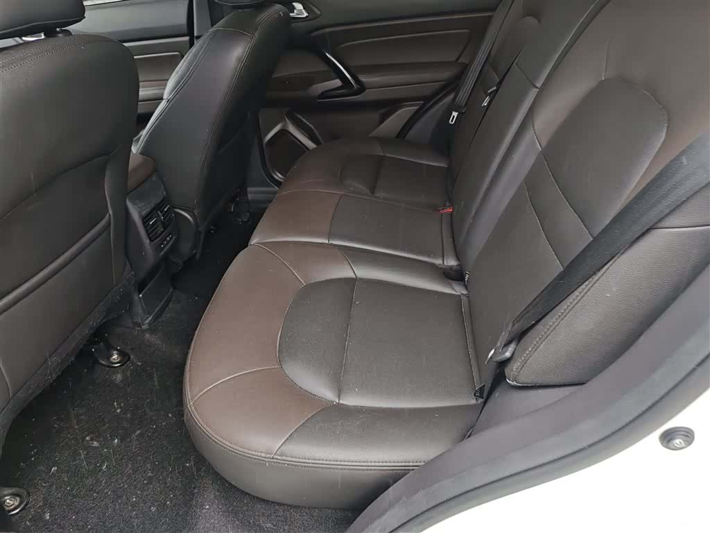 GAC GS4, 2017 17