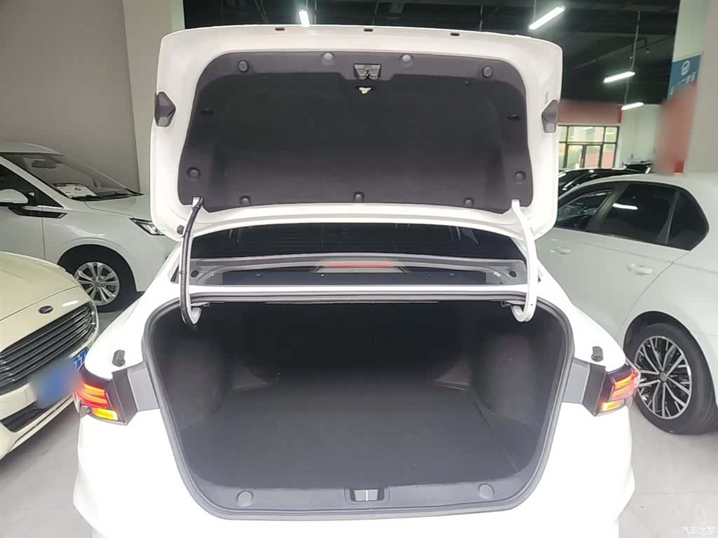 Geely Binray, 2024 19