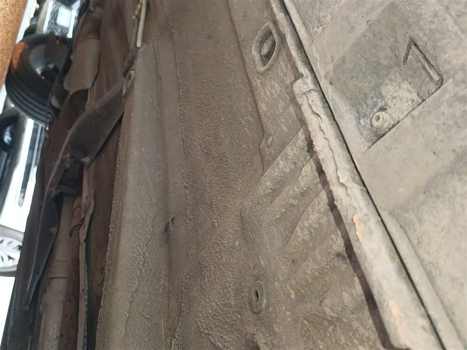 Volkswagen C-TREK Wei Collar