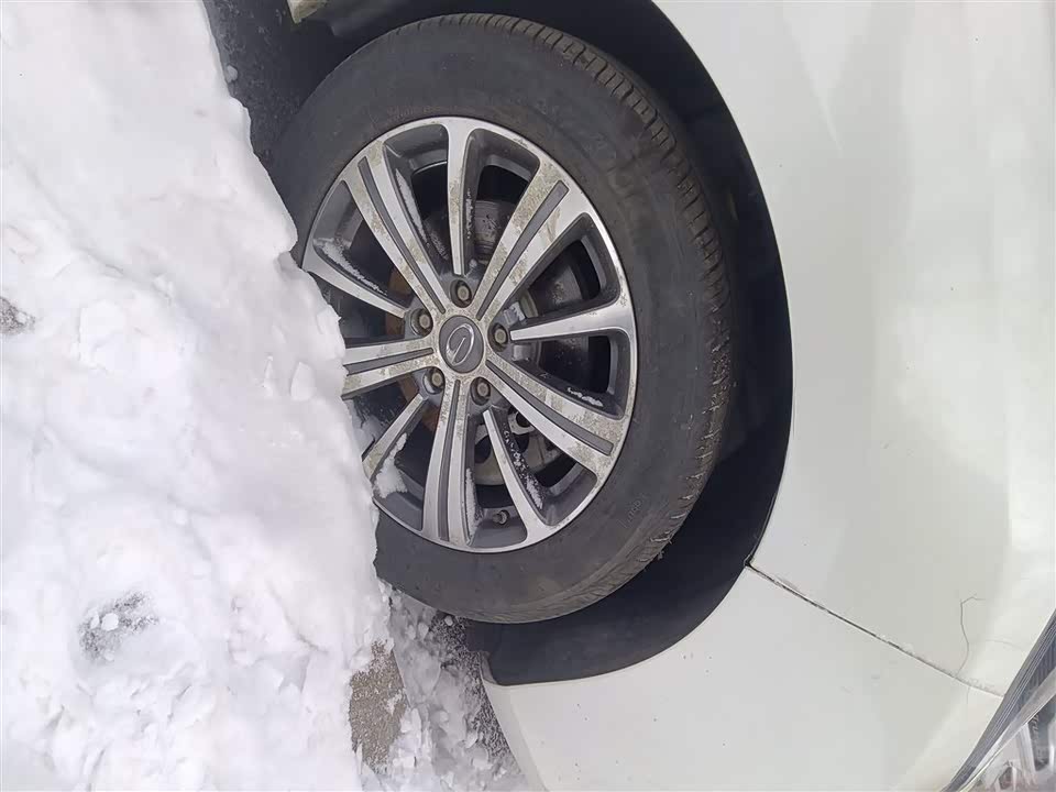 Trumpchi Trumpchi M8