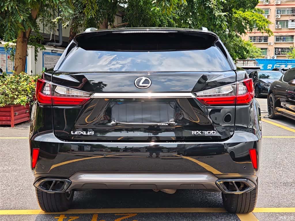 Lexus RX, 2018 6