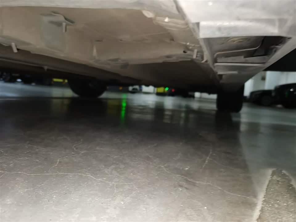 Trumpchi Shadow Leopard