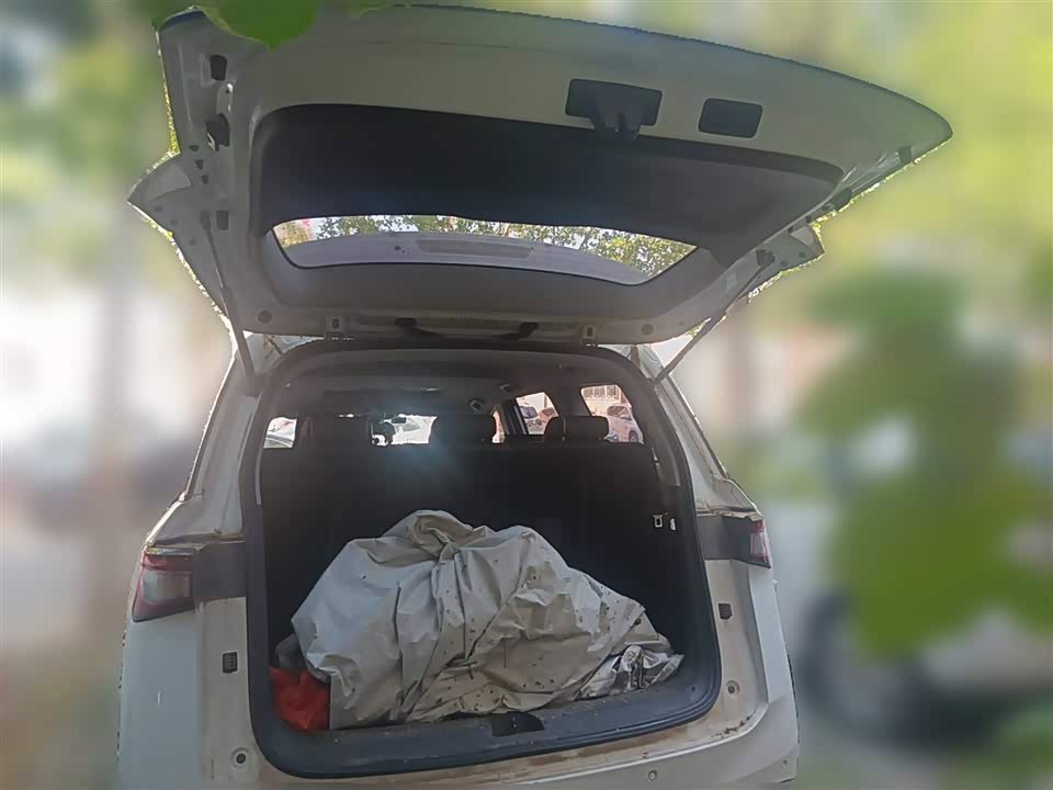 Wuling Wuling Jiachen