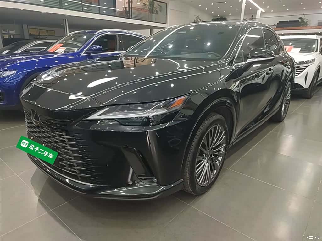 Lexus RX, 2023 1