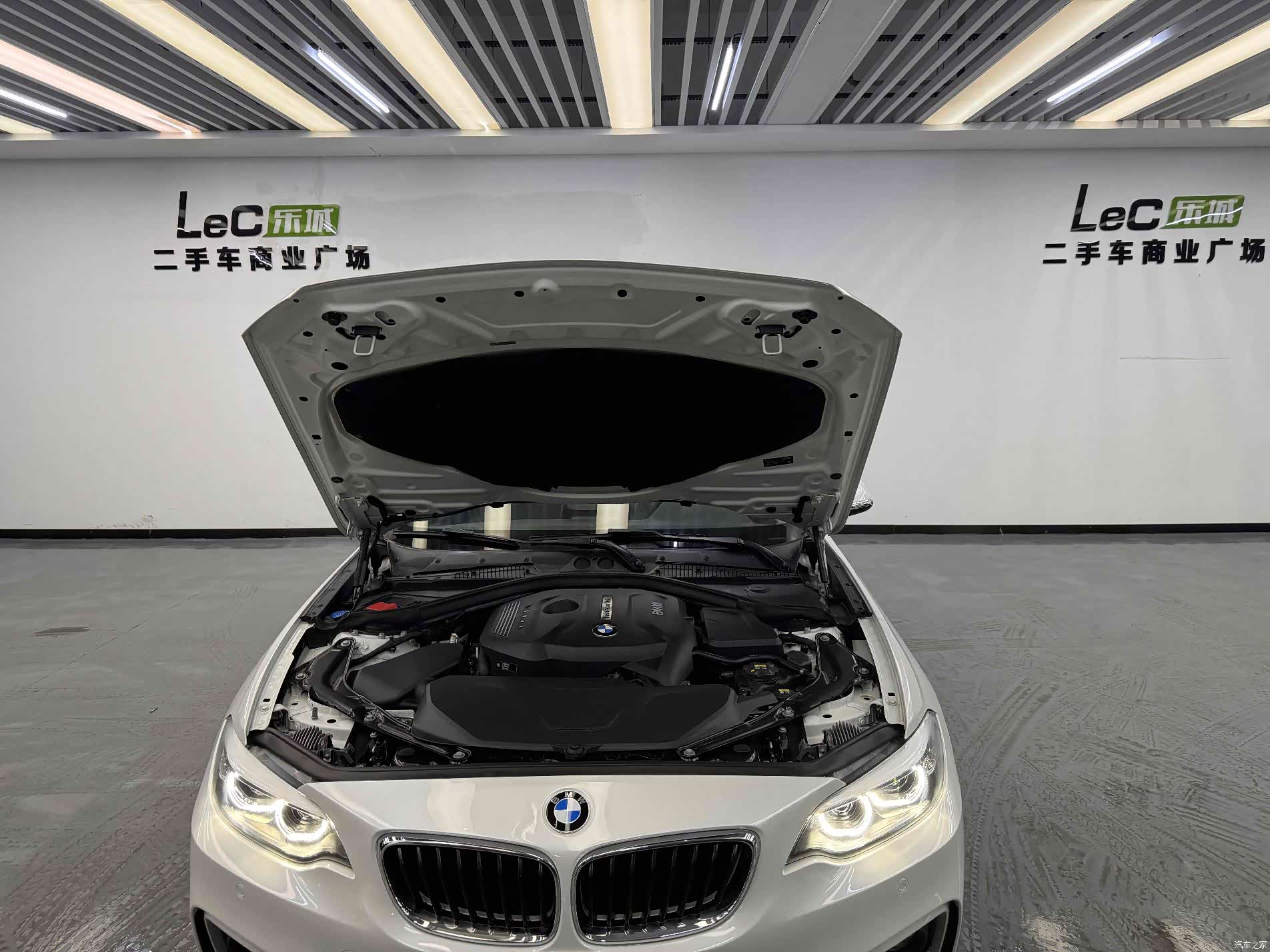BMW 2 Series, 2018 13